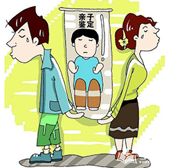 浙江个人亲子鉴定怎么做，浙江个人亲子鉴定办理条件