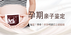 浙江孕期亲子鉴定的流程(专业咨询)